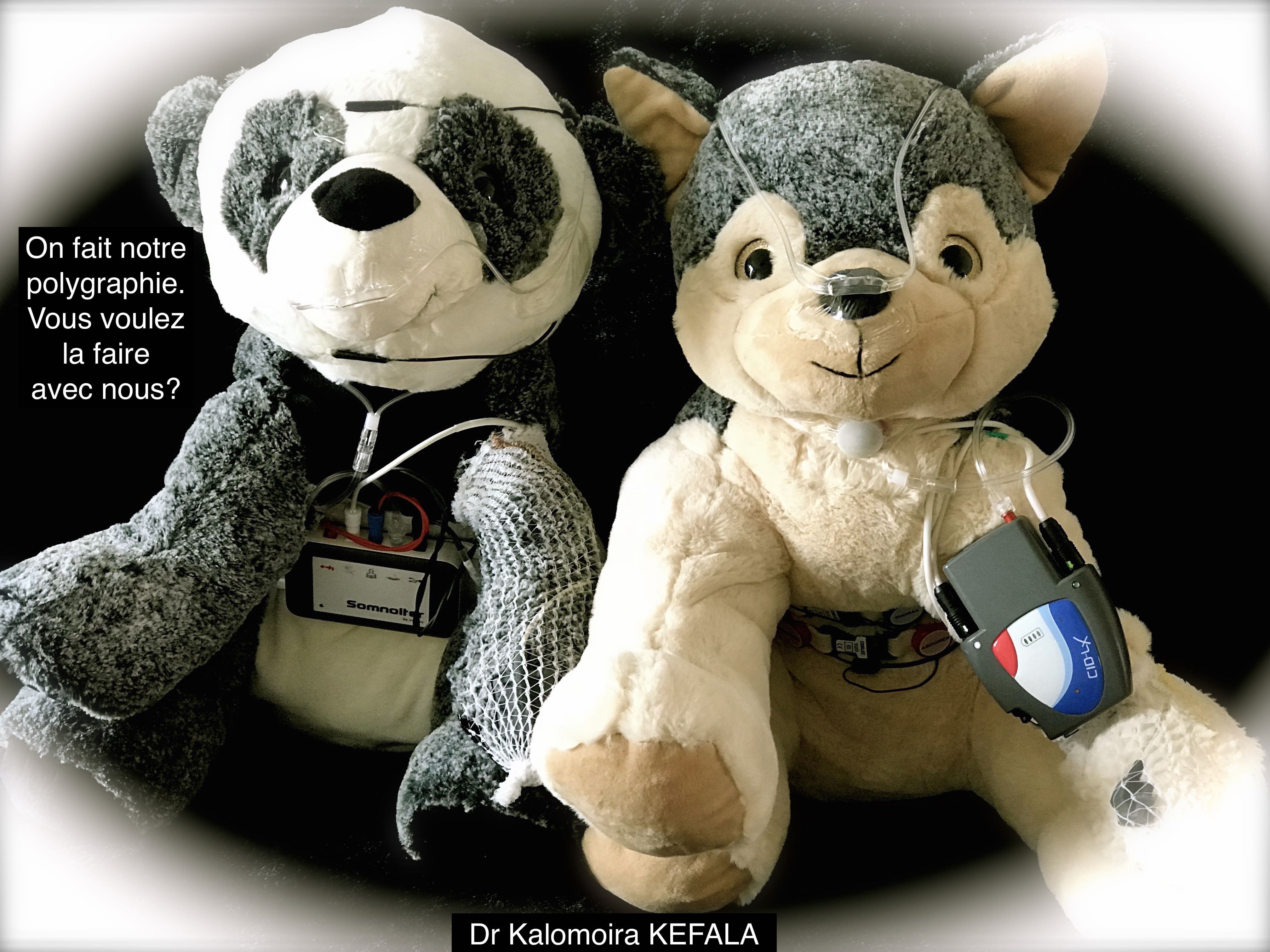Les deux doudous en peluche portant leurs polygraphes, Somnolter et Cidelec